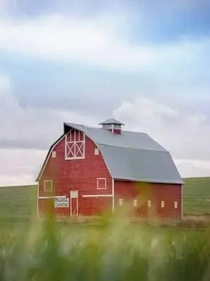 AtomicMayo의 Your Friend’s Family Farm