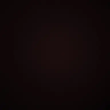 Profile image of 렌
