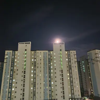Profile image of 라더