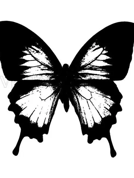 rxvesn의 아가페