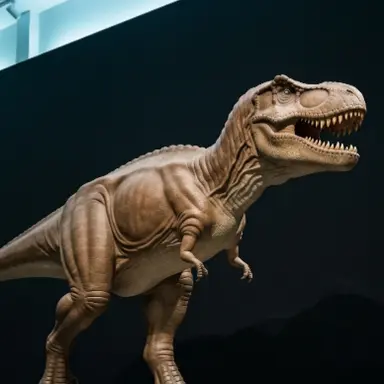 Profile image of ロータス