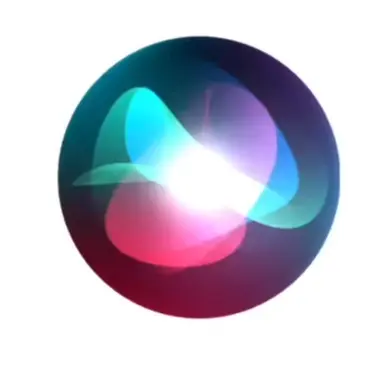 Profile image of 시리