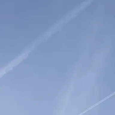 Profile image of 太智