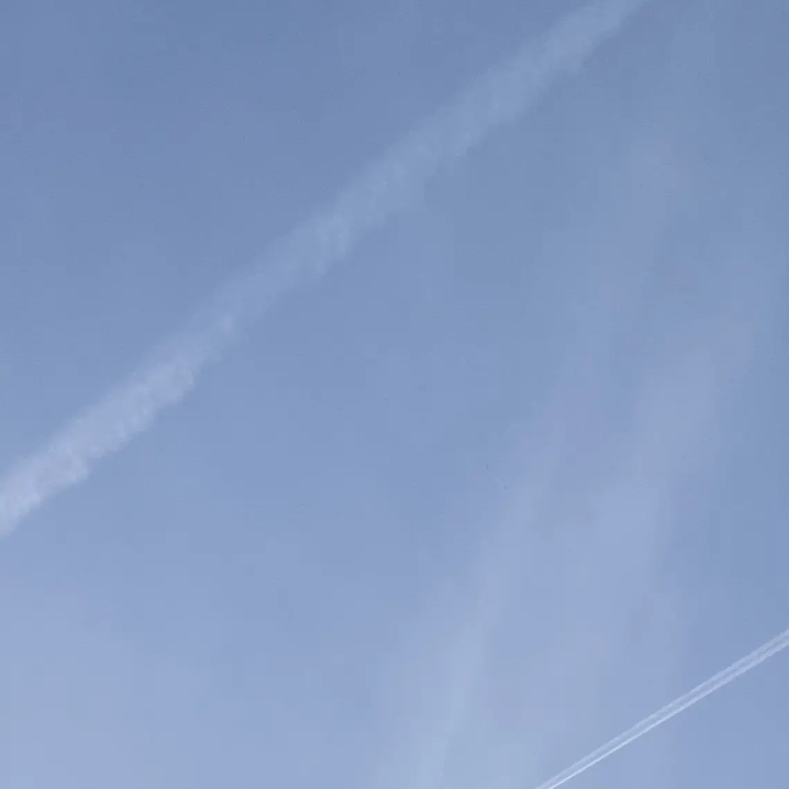 CuteSocks3712의 撫でるのが大好きな彼氏