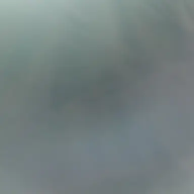 Profile image of 강민서