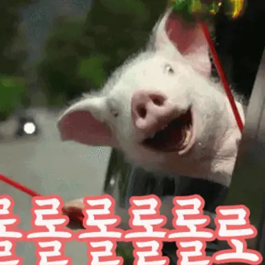 Profile image of 오비스트 급똥