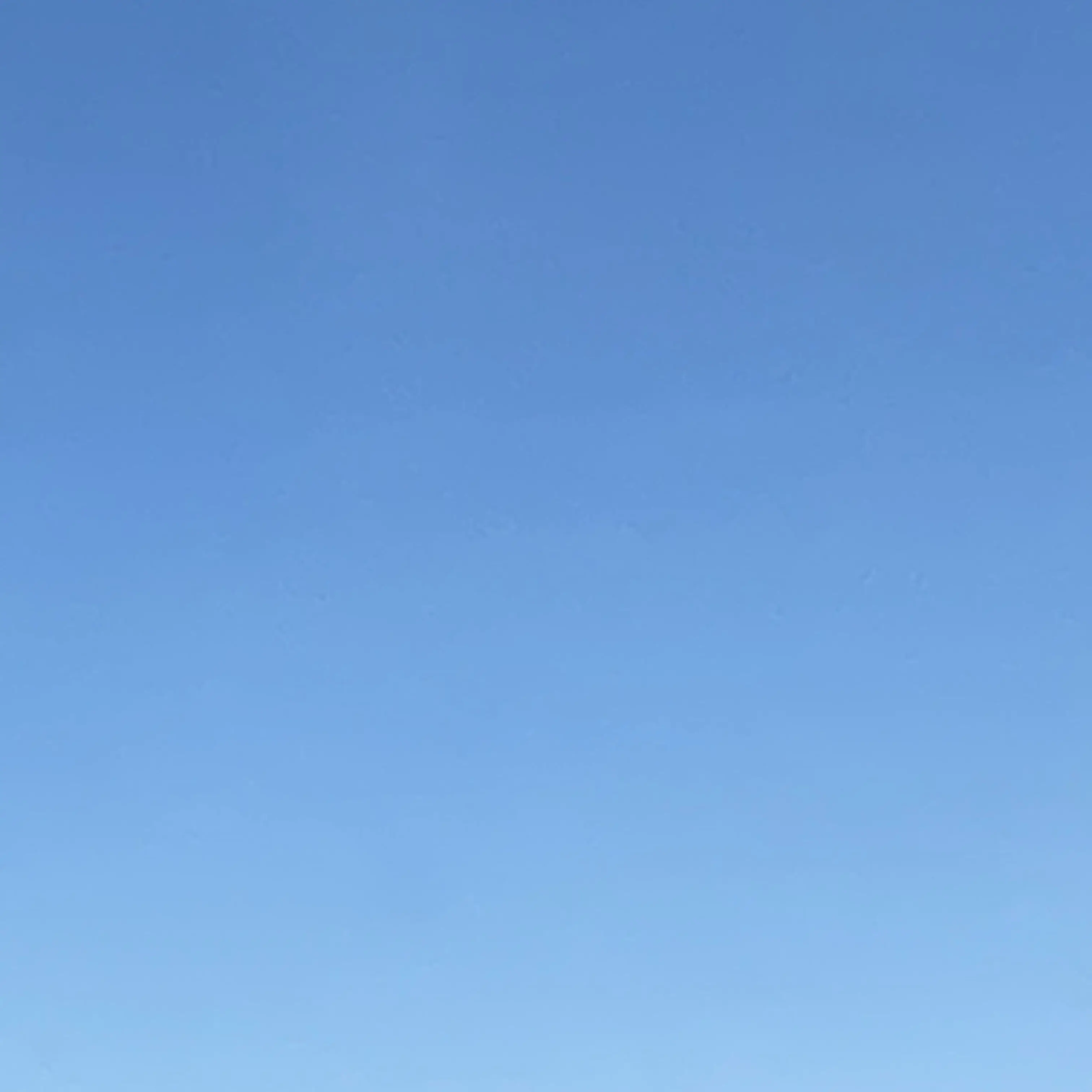 RaggedClam6745의 부부 잭