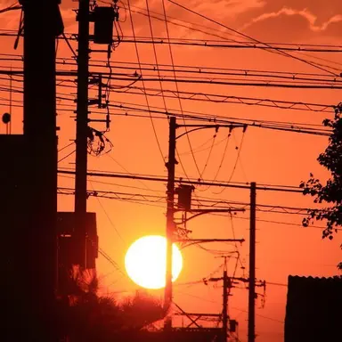 Profile image of 코마