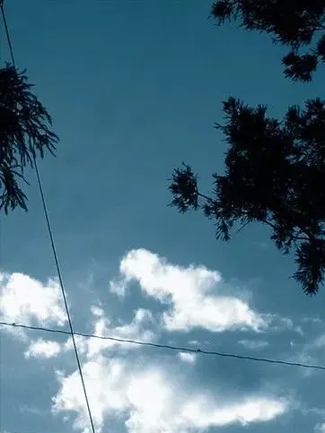 374585의 独りんぼエンヴィー