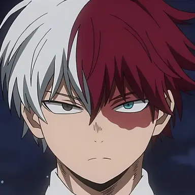 Profile image of Todoroki