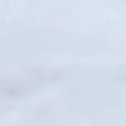 Profile image of 백지헌