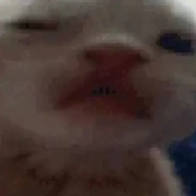 Profile image of Manny