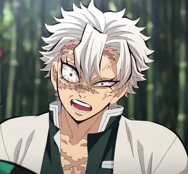 Profile image of Sanemi shinazugawa