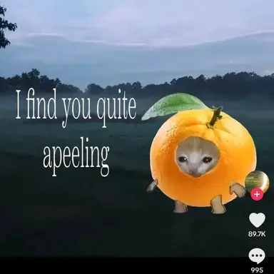 Profile image of Zayn