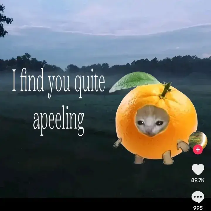 ShiftySteel3279의 Zayn