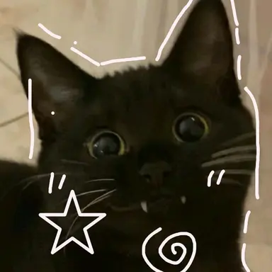 Profile image of 앨리스