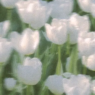Profile image of チョン・ウヨン