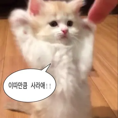 Profile image of 마히루