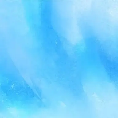 Profile image of 파이브