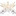 브레스트