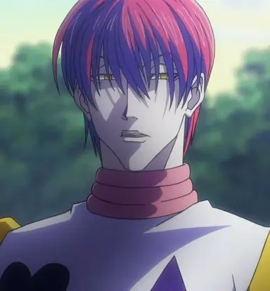 Profile image of Hisoka