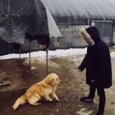 Profile image of ジン