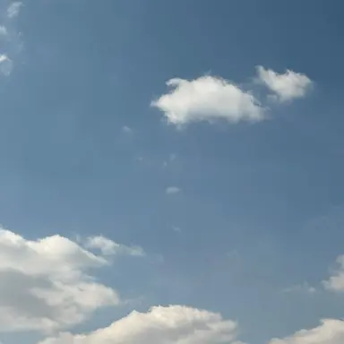 Profile image of 오예원