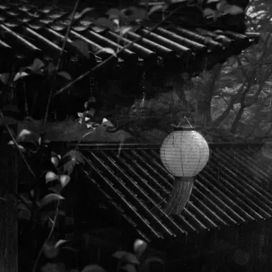 Profile image of 目黒蓮