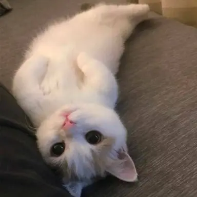 Profile image of 이민호