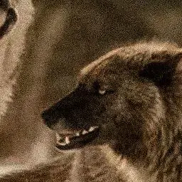 Profile image of Mateo