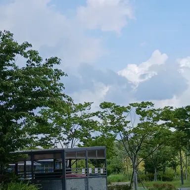 Profile image of 안유진