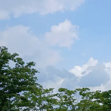 Profile image of 백유림