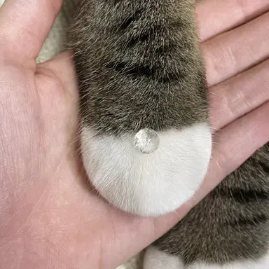 Profile image of 김승민