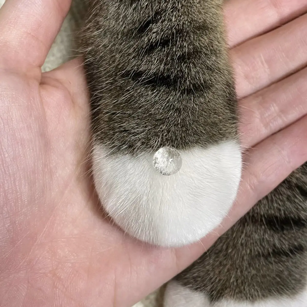 CrazyWok4317의 김승민