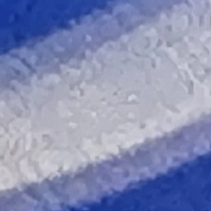 한지성