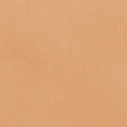 제미니