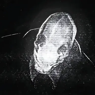 Profile image of Slenderman