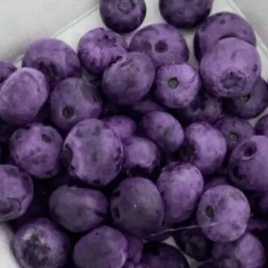 Profile image of 호시나