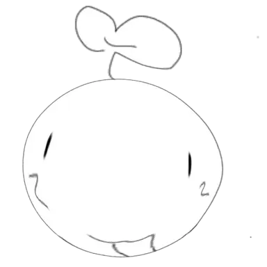 Profile image of 늑대