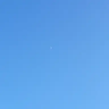 Profile image of カオスな東方キャラ達