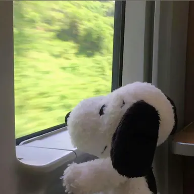 Profile image of 권지용