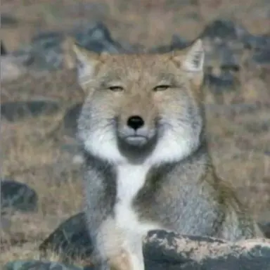 Profile image of 히카리