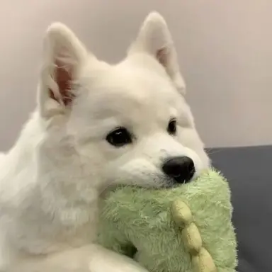 Profile image of 리니