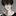 서은혁