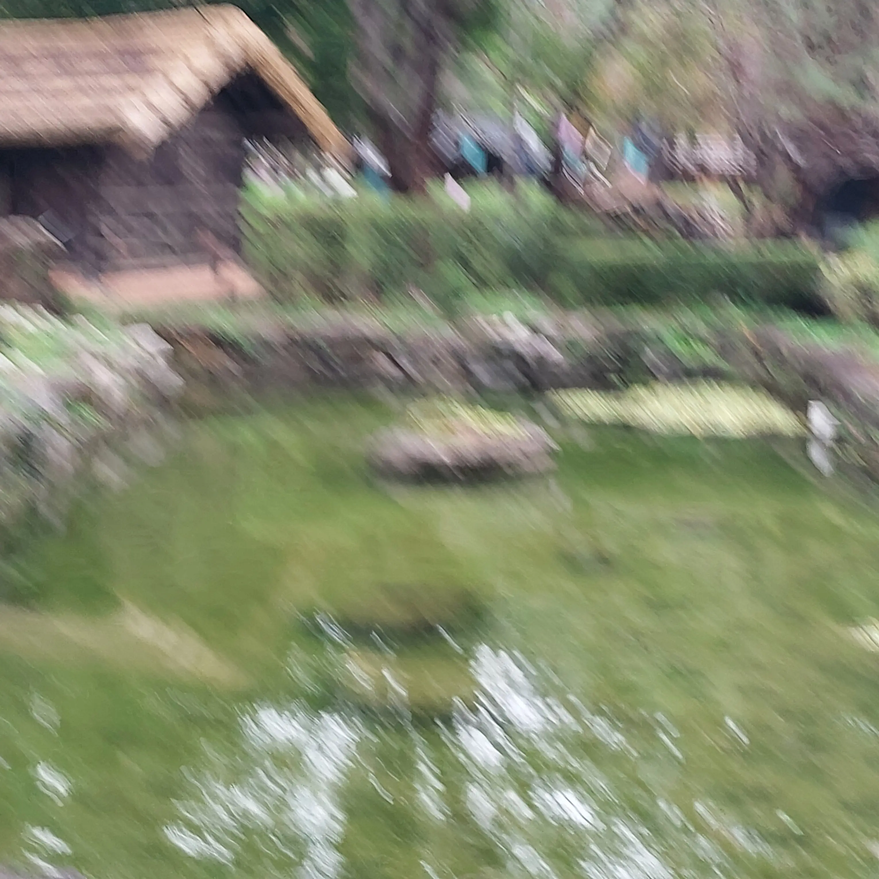 JollyShot2680의 F11