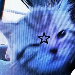 Profile image of てっちゃん