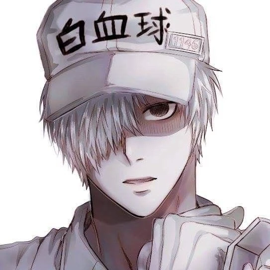白血球