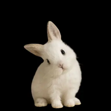 Profile image of 황 수현