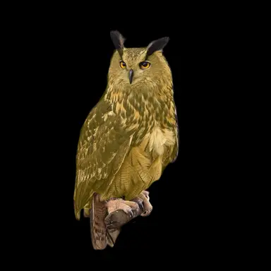 Profile image of 김 각별