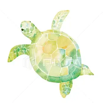 Profile image of 池亀樹音